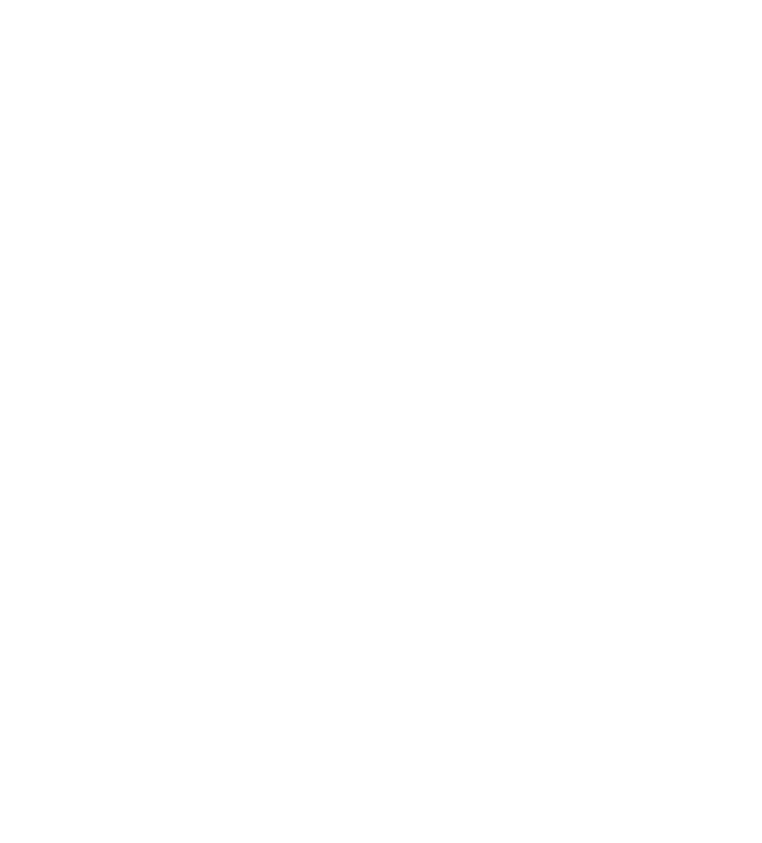 Pace Systems